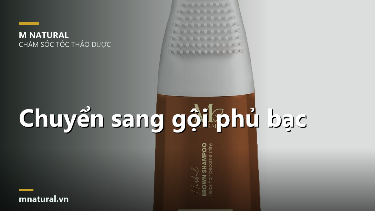 Chuyển sang gội phủ bạc