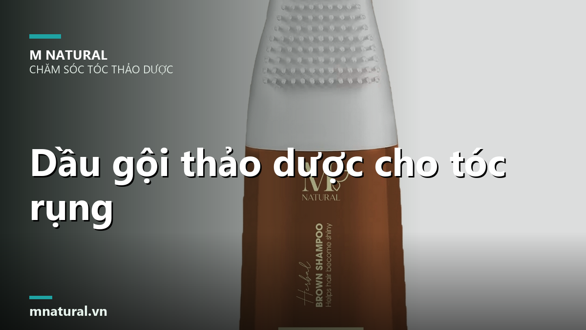 Dau goi thao duoc cho toc rung