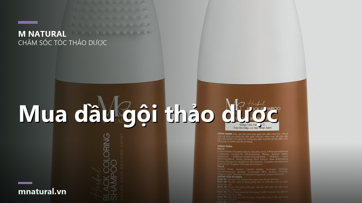 Mua dầu gội thảo dược