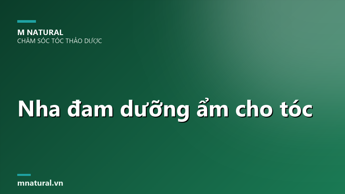 Gel nha đam và lá nha đam tươi, nha đam có tác dụng gì với tóc và da đầu