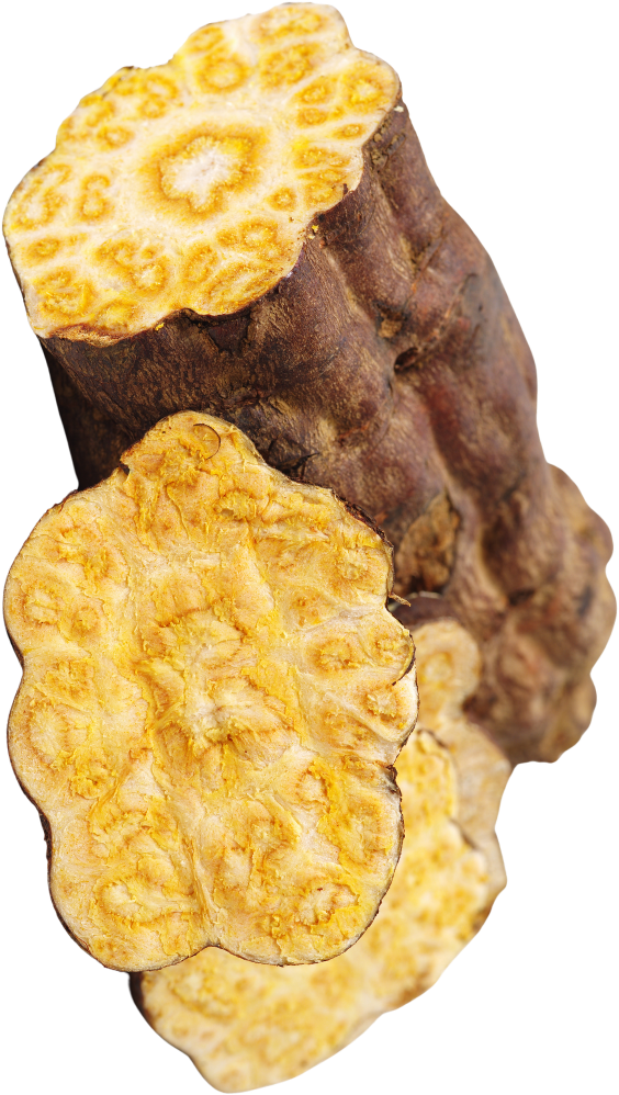 Hà thủ ô - thảo dược M Natural