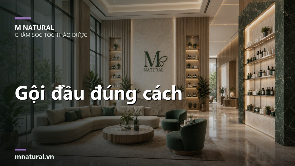 Ảnh bìa bài viết gội đầu đúng cách, nền sảnh salon M Natural