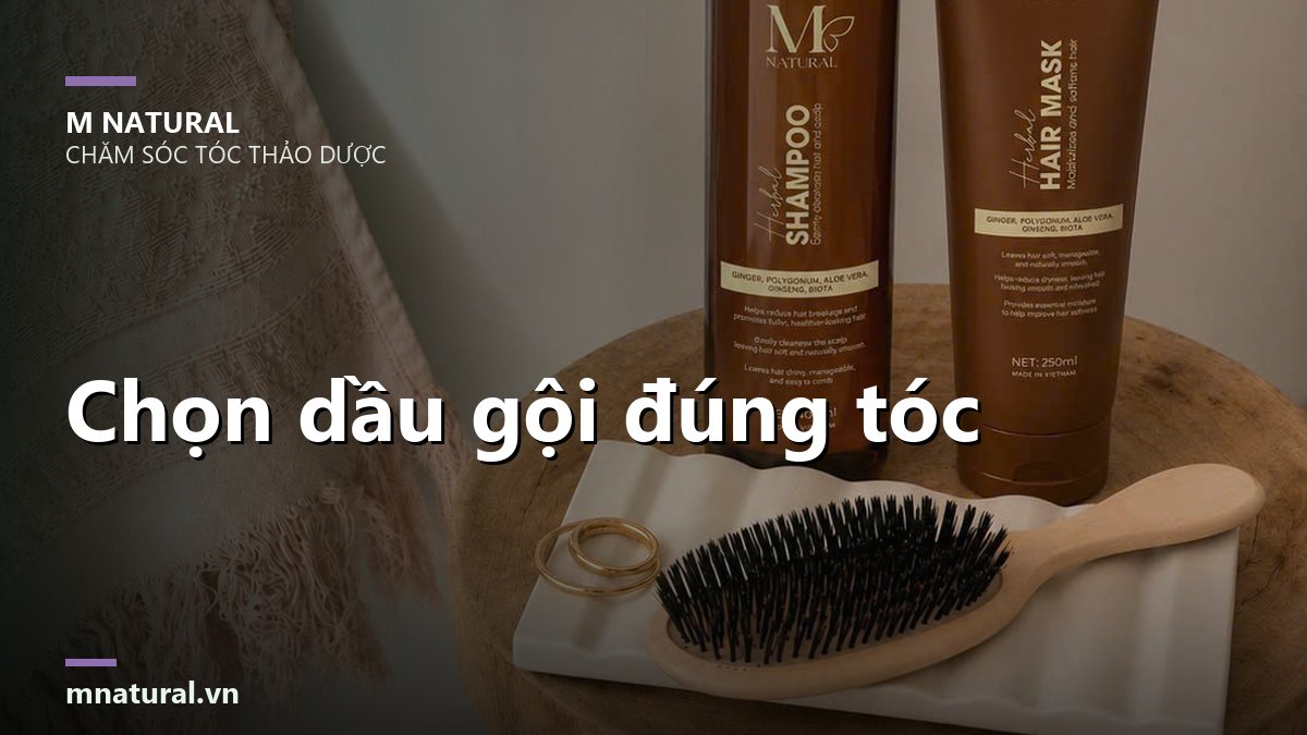 Ảnh bìa bài chọn dầu gội đúng loại tóc, nền sản phẩm và lược gỗ