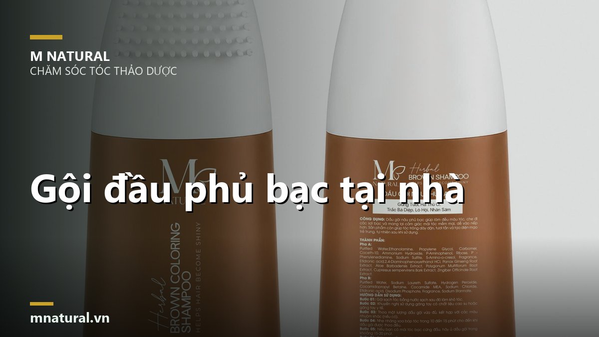 Ảnh bìa bài gội đầu phủ bạc tại nhà, nền hai chai dầu gội
