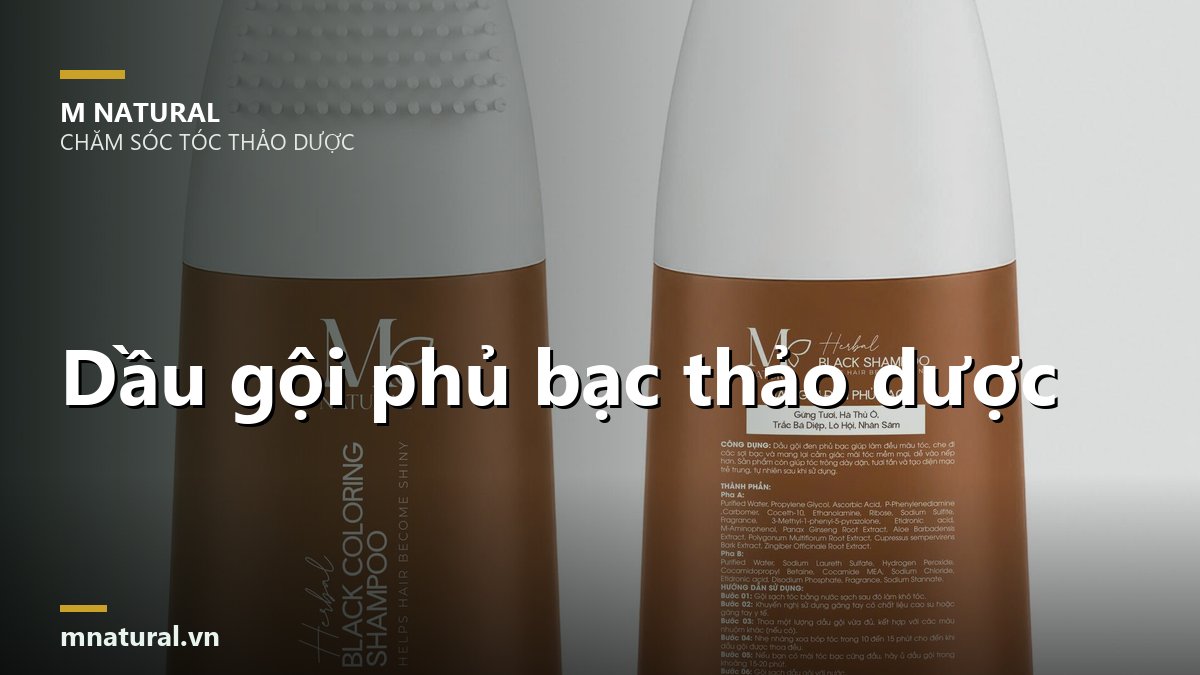 Ảnh bìa bài dầu gội phủ bạc thảo dược, nền hai chai sản phẩm