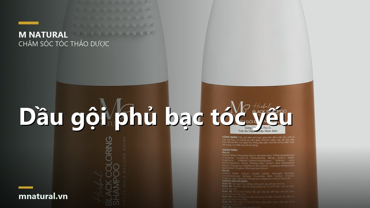 Ảnh bìa bài dầu gội phủ bạc cho tóc yếu, nền hai chai sản phẩm