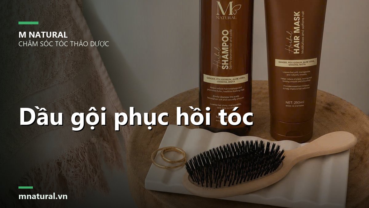 Ảnh bìa bài dầu gội phục hồi tóc, nền bộ sản phẩm và lược gỗ