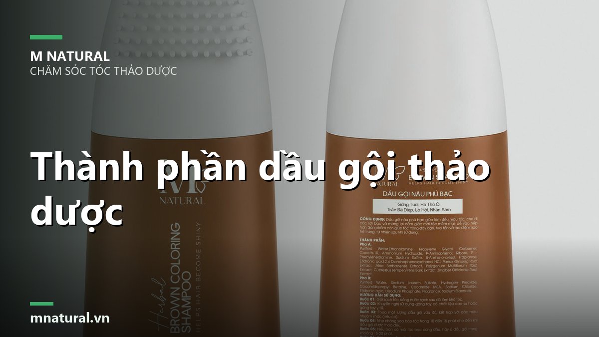Ảnh bìa bài thành phần dầu gội thảo dược, nền hai chai M Natural
