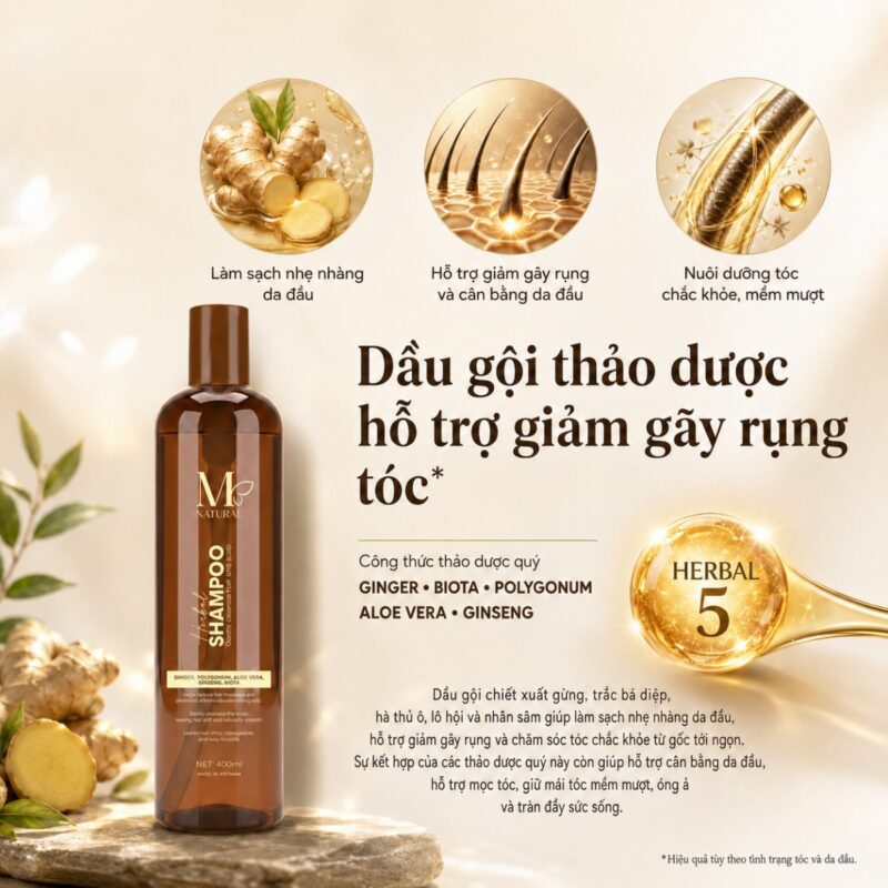 Đồ họa giới thiệu dầu gội thảo dược M Natural cùng nguyên liệu gừng tươi
