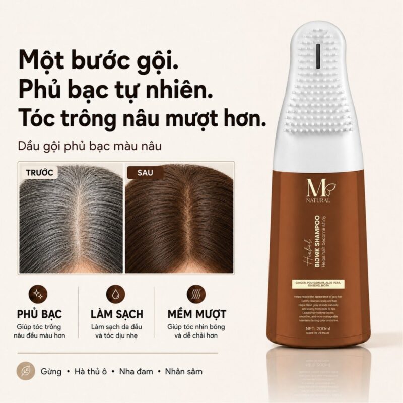 Đồ họa dầu gội phủ bạc nâu kèm ảnh chân tóc trước và sau