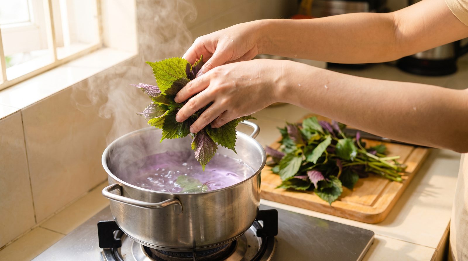Cho lá tía tô tươi vào nồi nước sôi để nấu nước gội đầu